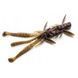 Силікон FishUp Shrimp 4.5" #050 Green Pumpkin Brown/Red & Purple (10080112) 10080112 фото