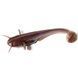 Силікон FishUp Catfish 3in / 75мм / 8шт / колір 050 (10025112) 10025112 фото