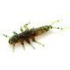 Силікон FishUp Stonefly 0.75in / 21мм / 12шт / колір 017 (10017106) 10017106 фото