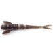 Силікон FishUp Flit 1.5" #050 /Green Pumpkin Brown/Red & Purple (10005112) 10005112 фото