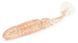 Приманка Bait Breath T.T.Shad 2,4in (8 шт) (S863) (FS0629354) FS0629354 фото