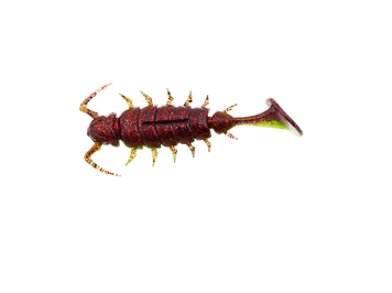 Силікон Alien Bug Lucky John Pro Series 2.5in / 63мм / 7шт / колір T44 (140165-T44) 140165-T44 фото