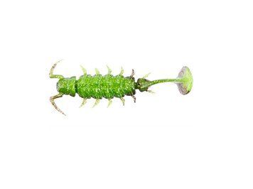 Силікон Alien Bug Lucky John Pro Series 2.5in / 63мм / 7шт / колір T48 (140165-T48) 140165-T48 фото