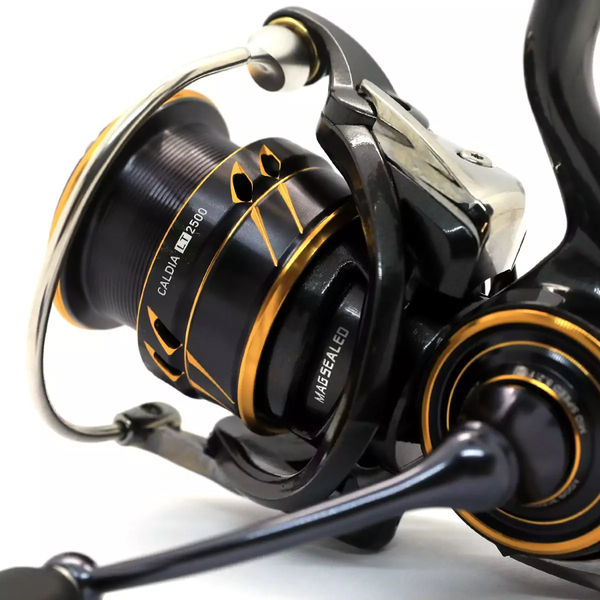Катушка Daiwa 21 Caldia LT 3000 / (2163795 / 20004712) 2163795 фото