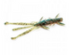 Силикон FishUp Shrimp 3" #017 Motor Oil Pepper (10065106) 10065106 фото