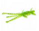 Силикон FishUp Shrimp 3" #026 Flo Chartreuse/Green (10065119) 10065119 фото