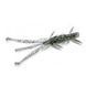 Силикон FishUp Shrimp 3" #057 Bluegill (10065122) 10065122 фото