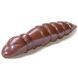 Силікон FishUp Pupa1,2in / 32мм / 10шт / колір 106 (10037126) 10037126 фото