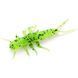 Силікон FishUp Stonefly 0.75in / 21мм / 12шт / колір 055 (10017116) 10017116 фото