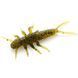 Силікон FishUp Stonefly 0.75in / 21мм / 12шт / колір 074 (10017117) 10017117 фото