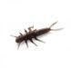 Силікон FishUp Stonefly 0.75in / 21мм / 12шт / колір 045 (10017121) 10017121 фото