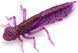 Силикон FishUp Dragonfly 1.2" #016 /Lox/Green & Black (10057104) 10057104 фото