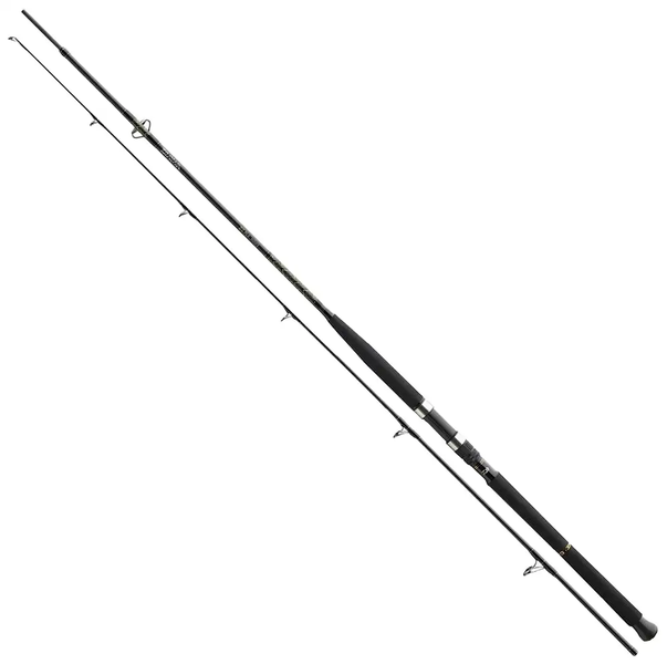 Спиннинг Daiwa BG Boat 2.10m 150-400g (11906-216 / 720445) 720445 фото