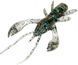 Силікон FishUp Real Craw 1.5in / 36мм / 10шт / (колір 057) (10026122) 10026122 фото