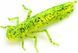 Силикон FishUp Dragonfly 1.7in (8шт) в форме стрекозы с запахом креветки (цвет 75) (10058119) 10058119 фото