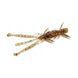 Силикон FishUp Shrimp 3" #045 Green Pumpkin/Red & Black (10065121) 10065121 фото